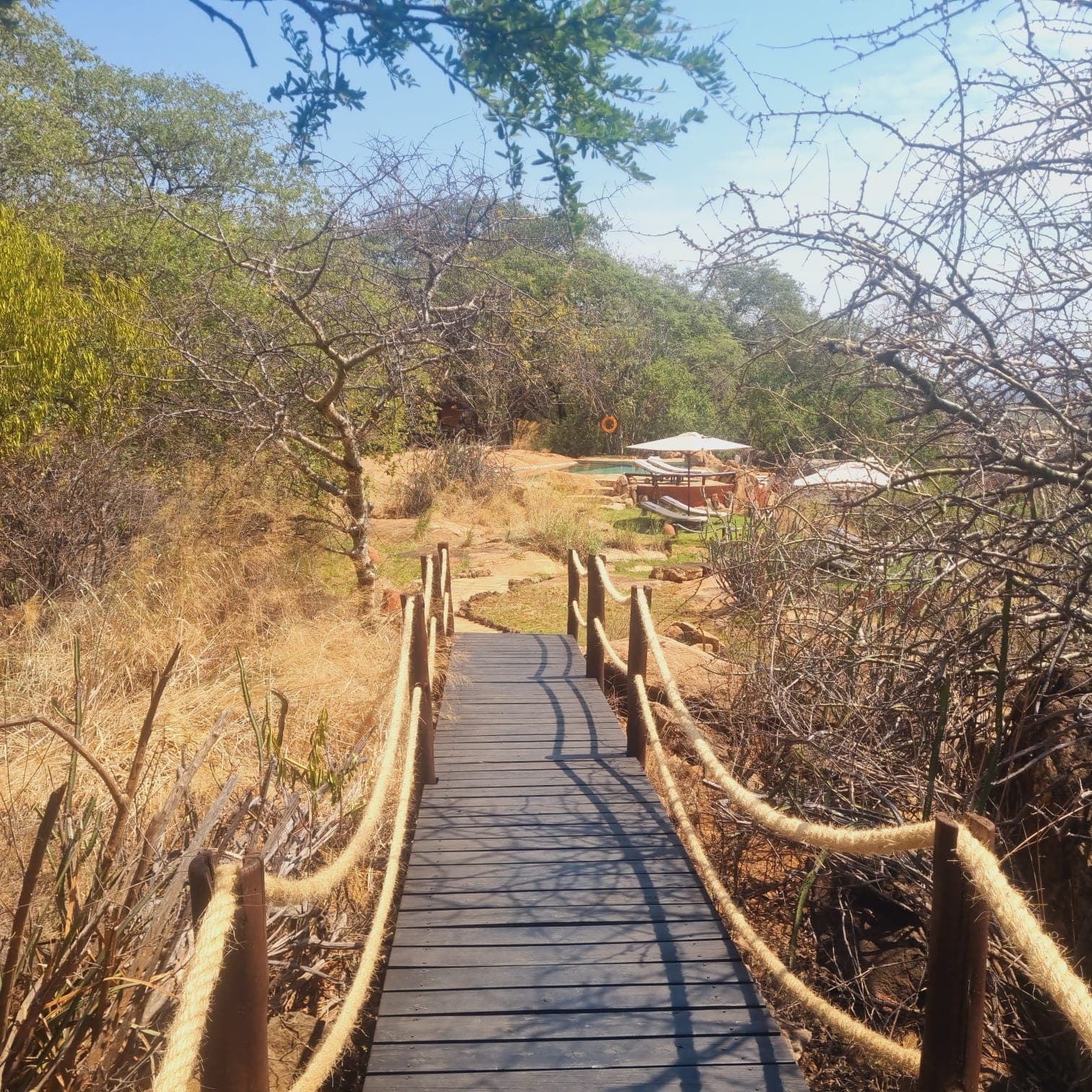 Samburu Wilderness Safari - View 5