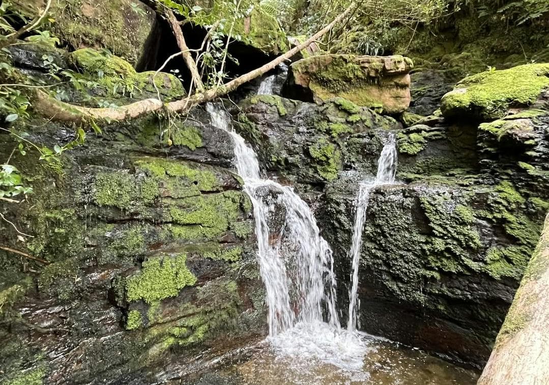 Adamson Conservation Journey - View 3