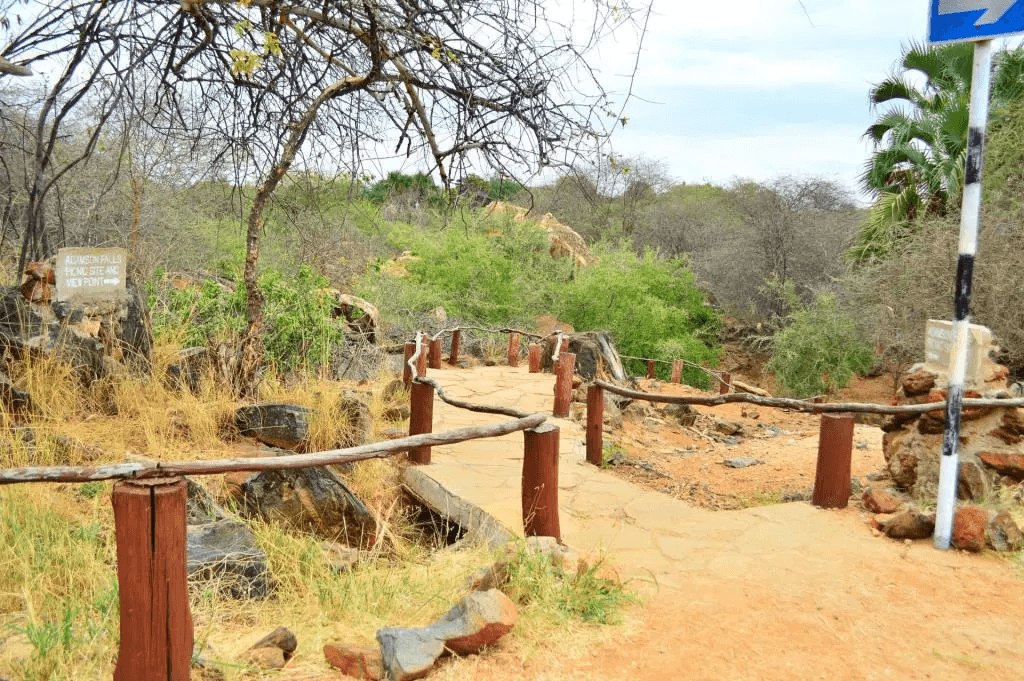 Adamson Conservation Journey - View 6