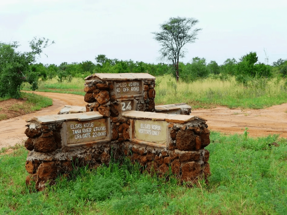 Adamson Conservation Journey - View 4