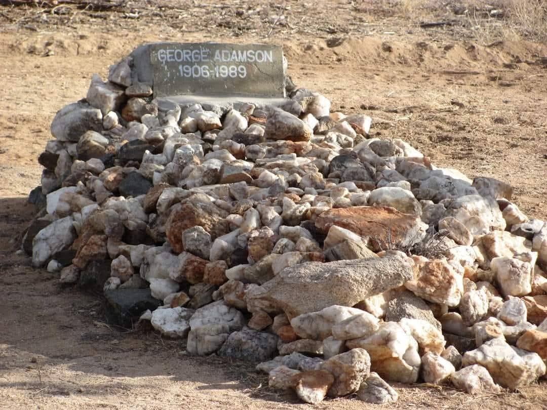 Adamson Conservation Journey - View 2