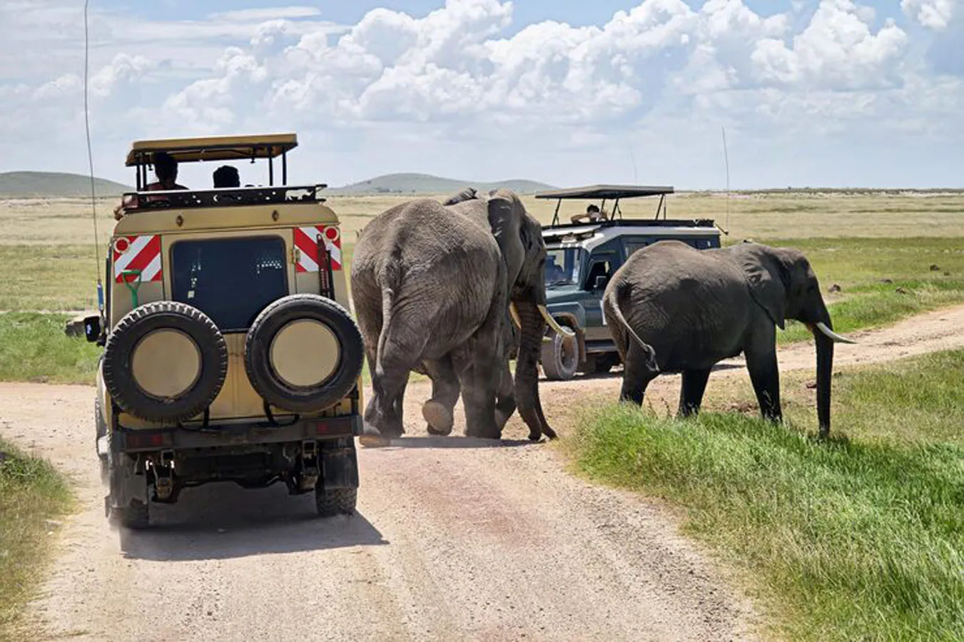 Places to Visit Kenya – Kenya Safari Holiday Package from Nairobi: Lake Nakuru & Masai Mara Safari Tour