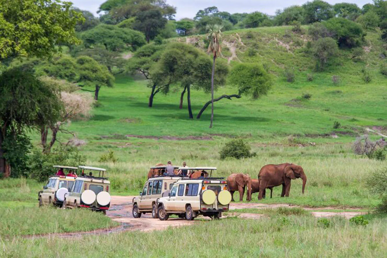 Aberdares Kenya – Samburu, Lake Nakuru & Masai Mara Adventure